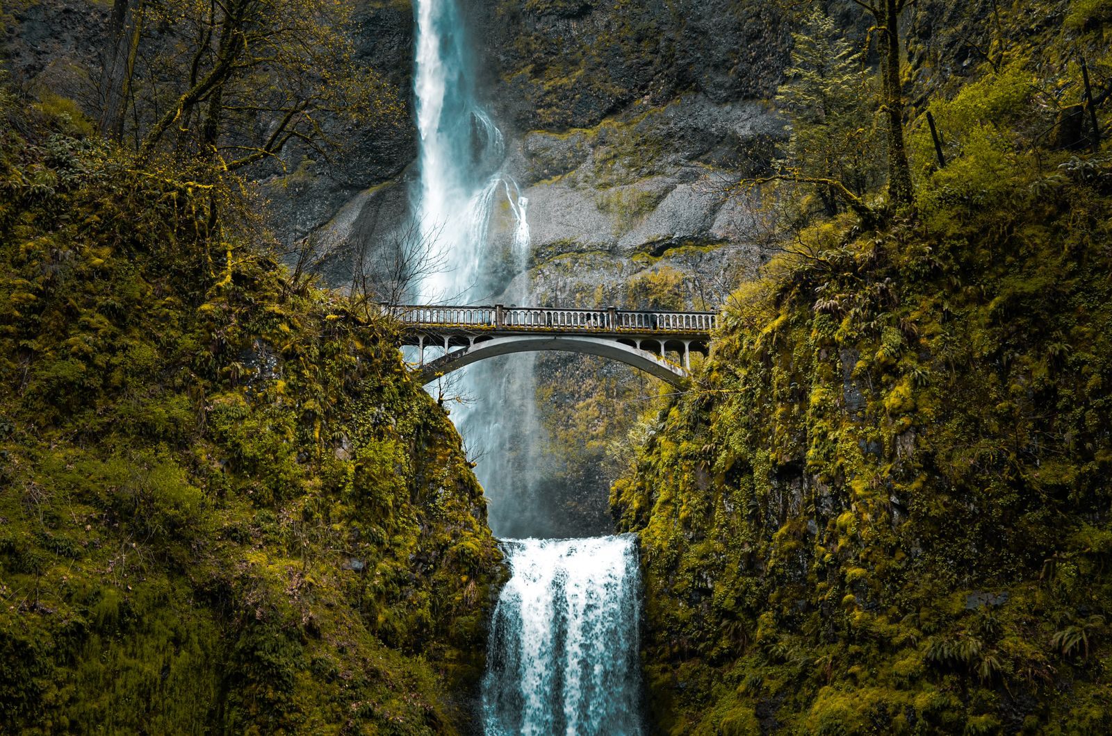 Both tiers of Multnomah Falls with the Benson footbridge between them and mossy cliffs, the best known of the Oregon waterfalls