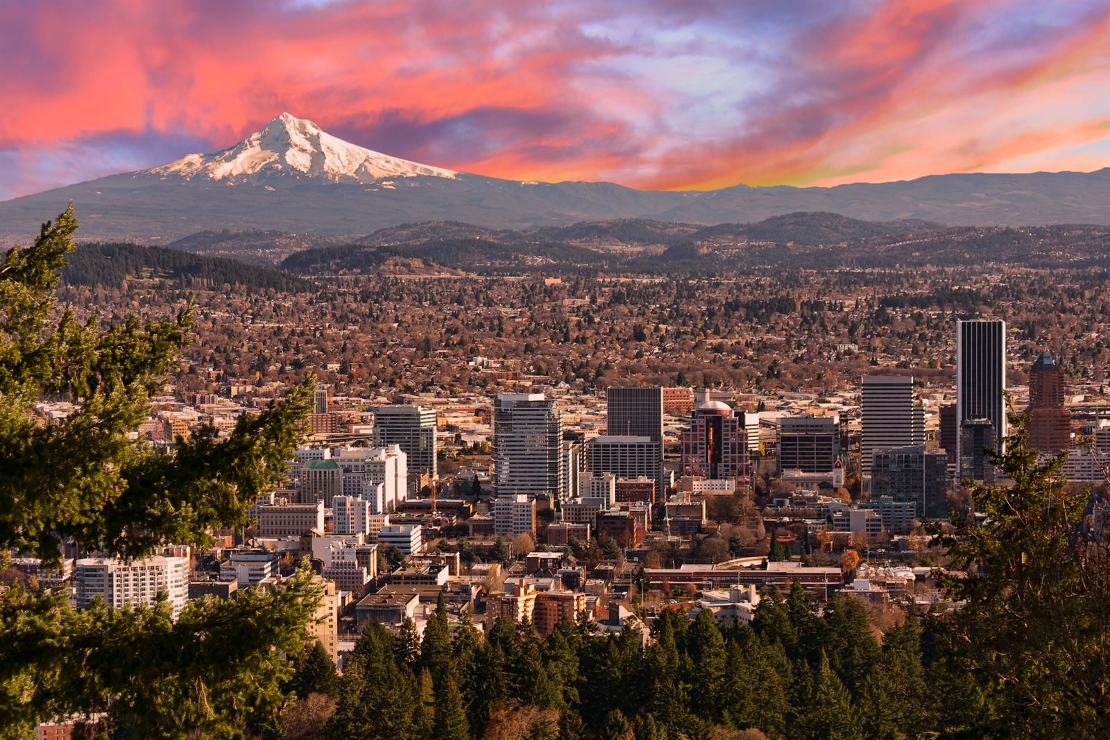 Downtown Portland, Oregon, below a snow-capped Mount Hood under a pink evening sky